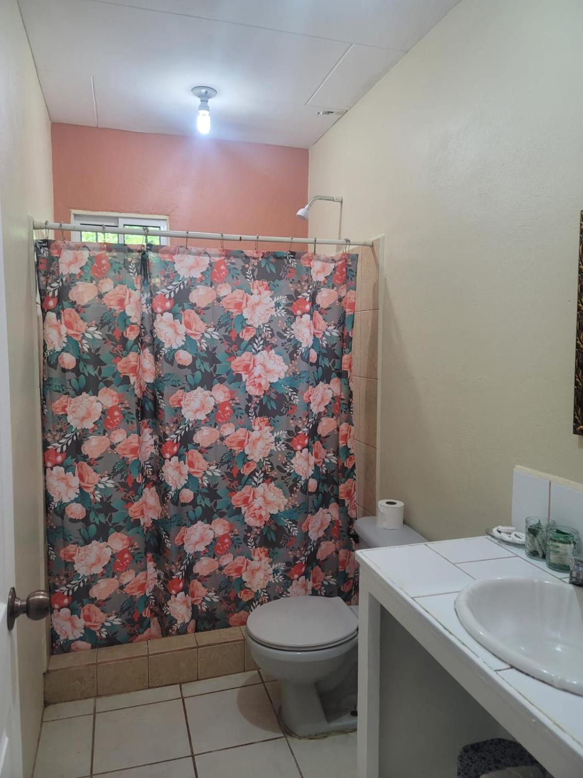 B Aparts Hotel Coxen Hole エクステリア 写真